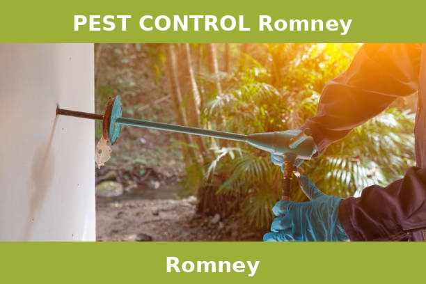 PEST CONTROL Romney
